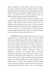 Renesanso ideologija 3 puslapis