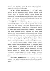 Renesanso ideologija 5 puslapis