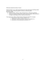 UAB „x“ dokumentų registravimo analizė 2 puslapis