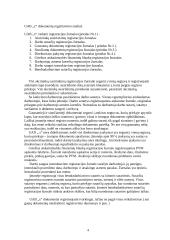 UAB „x“ dokumentų registravimo analizė 3 puslapis