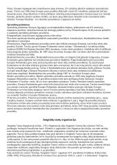 Žymiausios politines ekonominės ir karinės sąjungos 3 puslapis