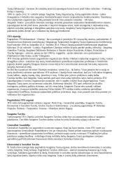 Žymiausios politines ekonominės ir karinės sąjungos 4 puslapis