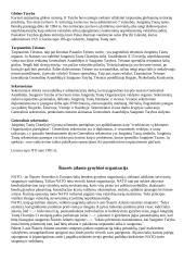 Žymiausios politines ekonominės ir karinės sąjungos 5 puslapis