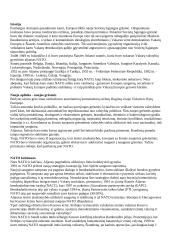 Žymiausios politines ekonominės ir karinės sąjungos 6 puslapis