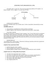 Jungtinių tautų organizacija  (JTO) 2 puslapis