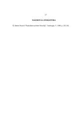  Paskirstomasis teisingumas 17 puslapis