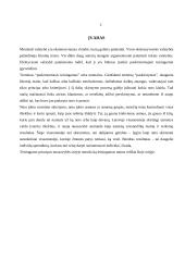  Paskirstomasis teisingumas 2 puslapis