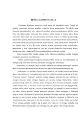  Paskirstomasis teisingumas 3 puslapis