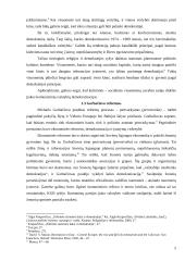 Perėjimas iš autoritarizmo į demokratiją: Lietuva ir Lenkija 4 puslapis