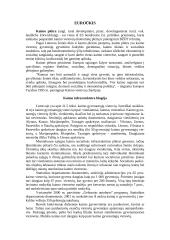 Euroūkis ir kaimo infrastruktūra