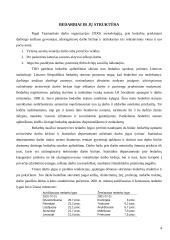 Bedarbiai, nedarbo priežastys ir nuostoliai 3 puslapis