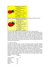 Viskas apie atliekas 3 puslapis