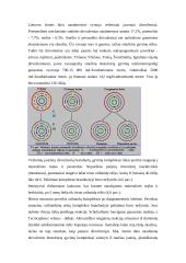 Dirvožemis ir dirvožemio teršimas 16 puslapis