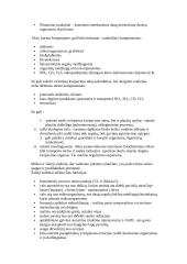 Visa informacija apie saulę 2 puslapis