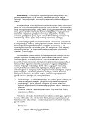 Visa informacija apie saulę 3 puslapis