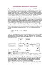 Deguonies grupė 3 puslapis