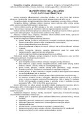 Energetinių įrenginių eksploatavimas 2 puslapis