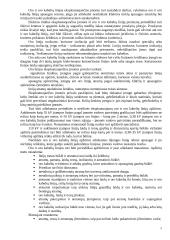 Energetinių įrenginių eksploatavimas 5 puslapis