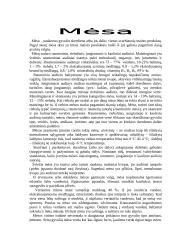 Mėsos produktų asortimentas 4 puslapis