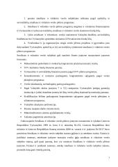 Smulkaus ir vidutinio verslo plėtra Panevėžio regione 3 puslapis