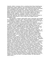 Istorija apie Viduramžius 2 puslapis