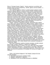 Istorija apie Viduramžius 5 puslapis