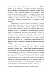 Privilegijuotas tyčinis ir netyčinis nužudymas 11 puslapis