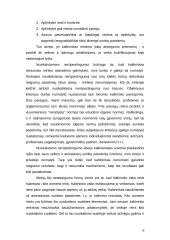 Privilegijuotas tyčinis ir netyčinis nužudymas 18 puslapis