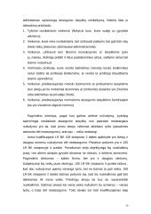 Privilegijuotas tyčinis ir netyčinis nužudymas 20 puslapis