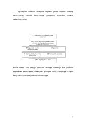 Lietuvos tarptautinių sutarčių vieta Lietuvos teisinėje sistemoje 7 puslapis