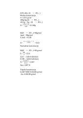 Tirpalo koncentracija 2 puslapis