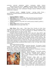 Kubizmas dailėje ir kitose meno šakose 2 puslapis