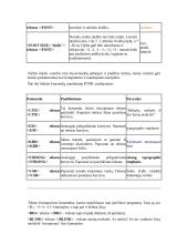 Dinaminiai HTML 4 puslapis