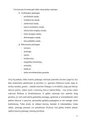 Kurortų plėtros skatinimas Lietuvoje 11 puslapis