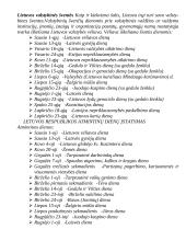 Laisvalaikis ir šventės 2 puslapis