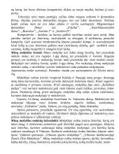 Laisvalaikis ir šventės 8 puslapis