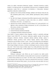 Totalitarizmo režimas 3 puslapis