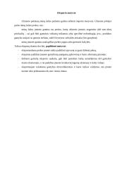 Eksportas ir prekybos balansas 3 puslapis