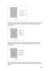 Paklausos ir pasiūlos skaičiavimai 3 puslapis