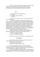 Nežodinio bendravimo esmė 4 puslapis