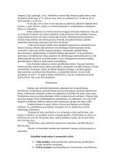 Nežodinio bendravimo esmė 5 puslapis