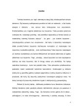 Turtinio pobūdžio bausmės LR BK 2 puslapis