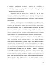 Turtinio pobūdžio bausmės LR BK 12 puslapis