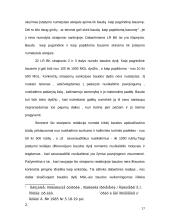 Turtinio pobūdžio bausmės LR BK 15 puslapis