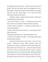 Turtinio pobūdžio bausmės LR BK 17 puslapis