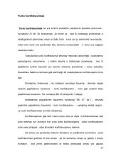 Turtinio pobūdžio bausmės LR BK 20 puslapis