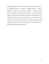 Turtinio pobūdžio bausmės LR BK 7 puslapis