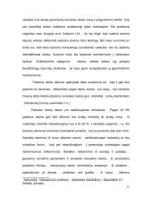 Turtinio pobūdžio bausmės LR BK 9 puslapis