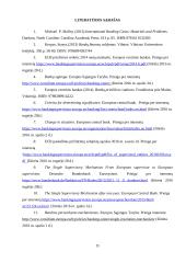 Bankų sąjunga: kūrimo eiga ir problemos 14 puslapis