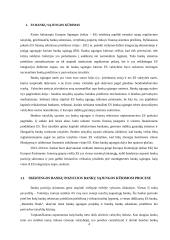 Bankų sąjunga: kūrimo eiga ir problemos 3 puslapis